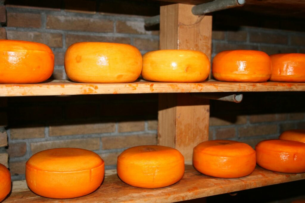 Babybelletje Magic: Your Ultimate 2026 Guide