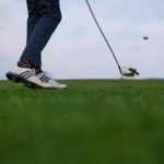 digital fairways courtroom