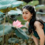 natural beauty ingredients