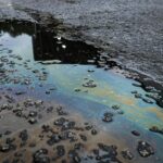 natural oily skin care