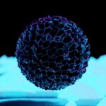 Adenoidid: Your Comprehensive Guide to Symptoms & Treatment