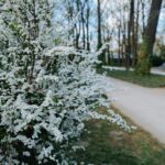 Beata Thunberg speaking
