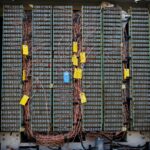 complex systems network