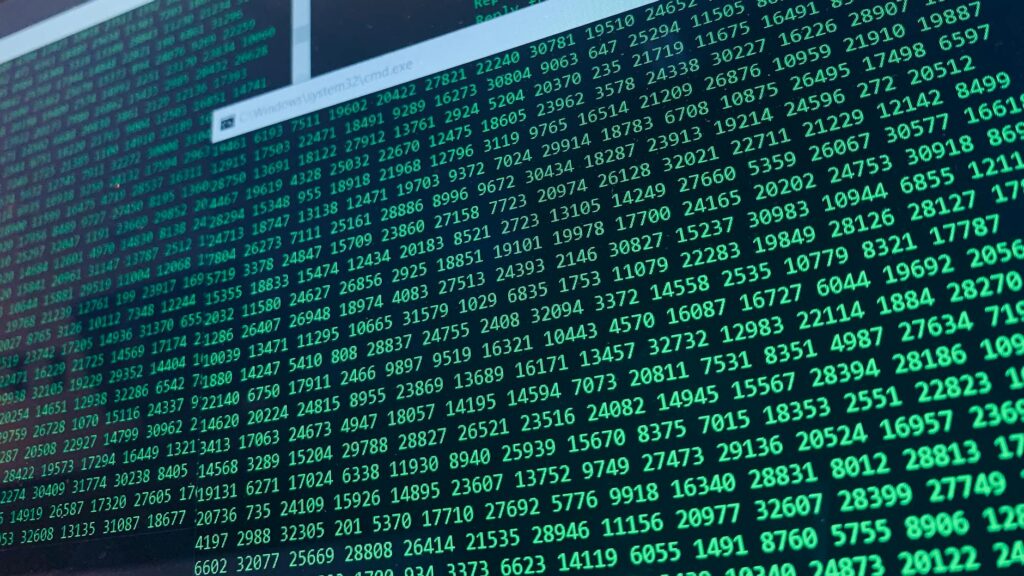 Transds Explained: Your Essential 2026 Guide