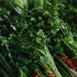 Koriandri: Your Ultimate Guide to Understanding and Using It