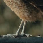 Larry Bird family photo