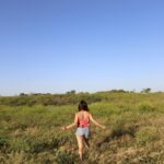 legal warning letter