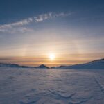 Mark Bignell portrait