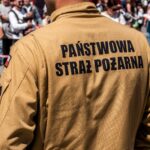 public service development