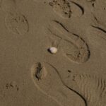 Sandy Toxteth Liverpool