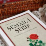 Socialmediagirls Forum: Your UK Guide to Digital Communities 2026