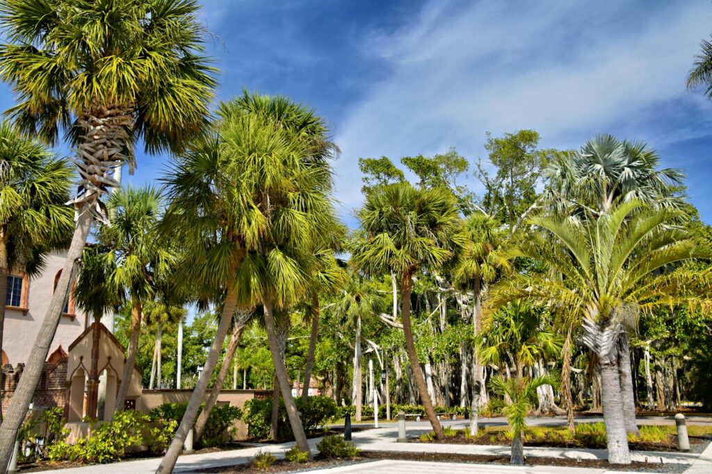 What is the Area Code for 239? Your Southwest Florida Guide