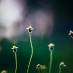 Tinie Tempah Chloe couple