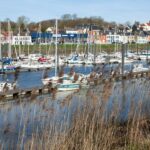 Valerie Guiliani: Unpacking Her Impact and Insights